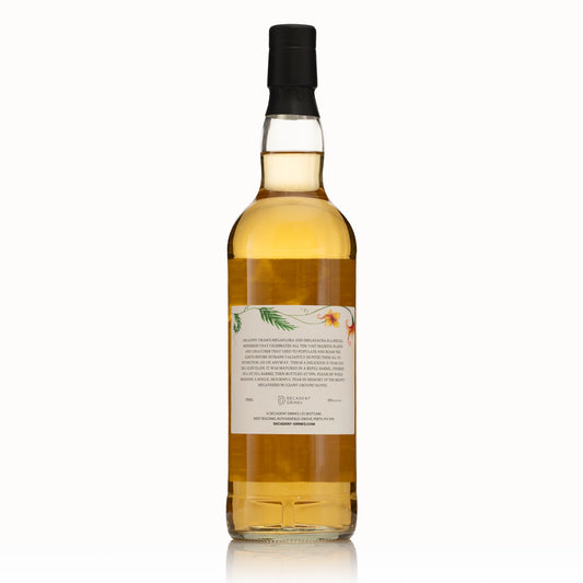 Glen Elgin 15 Jahre - Decadent Drams 2026